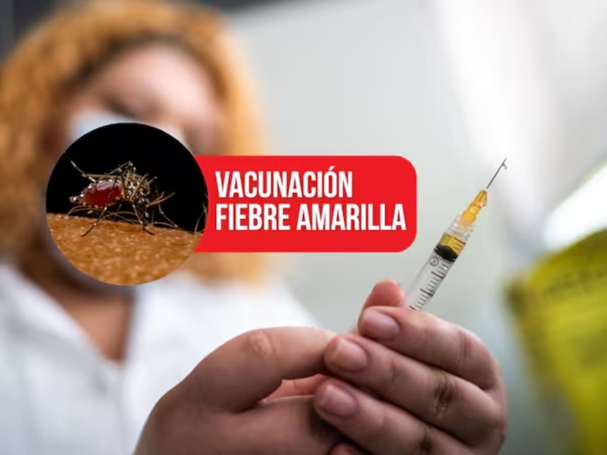 EPS Famisanar alertó sobre 10 municipios de Bolívar en riesgo de contagio por fiebre amarilla