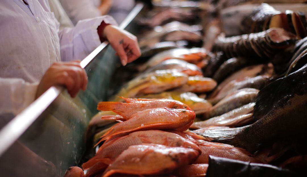 Variada oferta de pescados