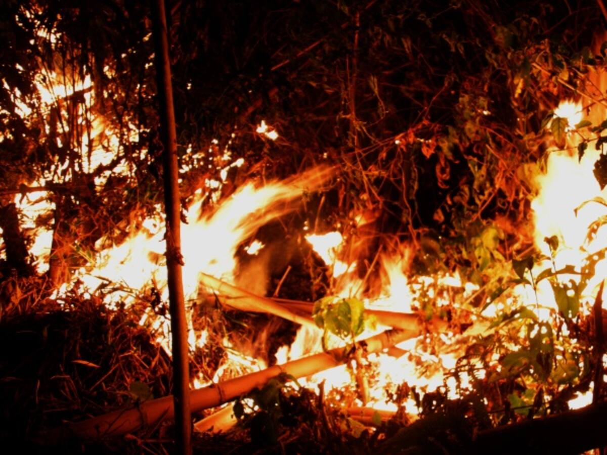 Incendios forestales en 8 municipios del Tolima están incontrolables