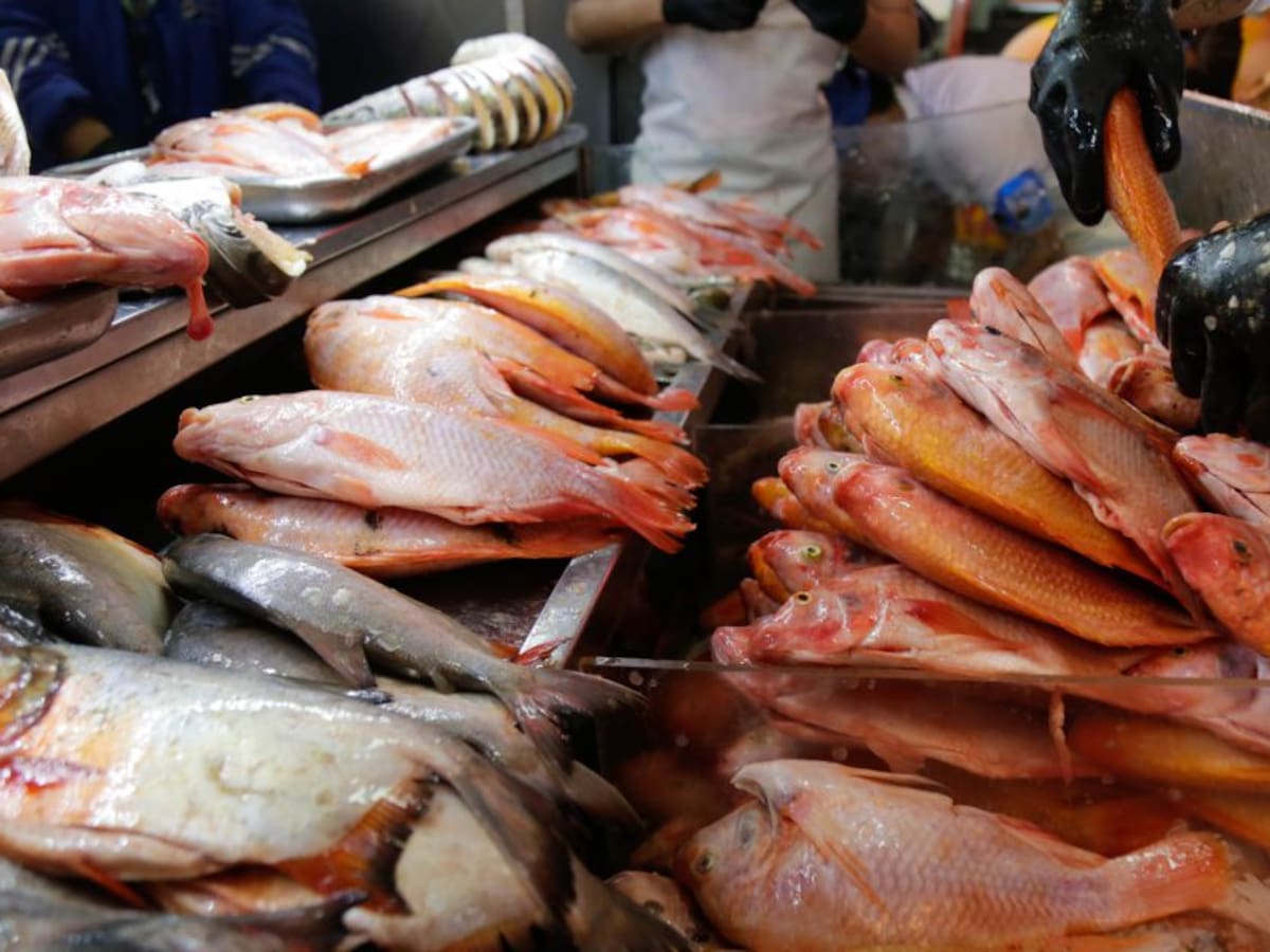 Lo que debe tener en cuenta al comprar pescado durante Semana Santa