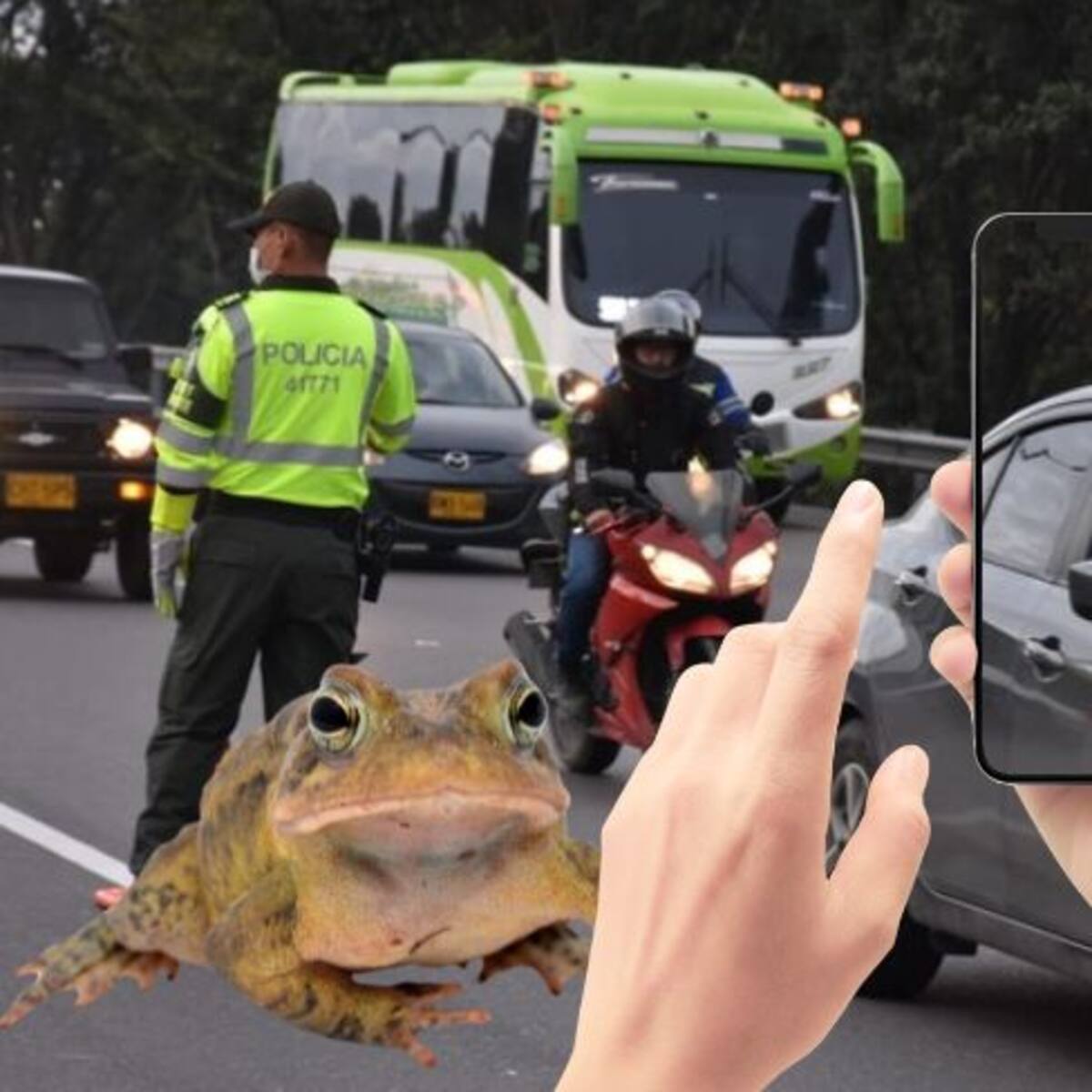 ¿Maniobras indebidas en carretera? Ser sapo puede evitar tragedias esta Semana Santa