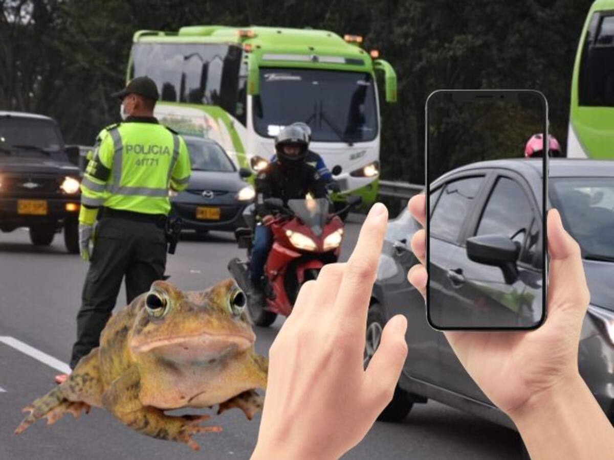 ¿Maniobras indebidas en carretera? Ser sapo puede evitar tragedias esta Semana Santa