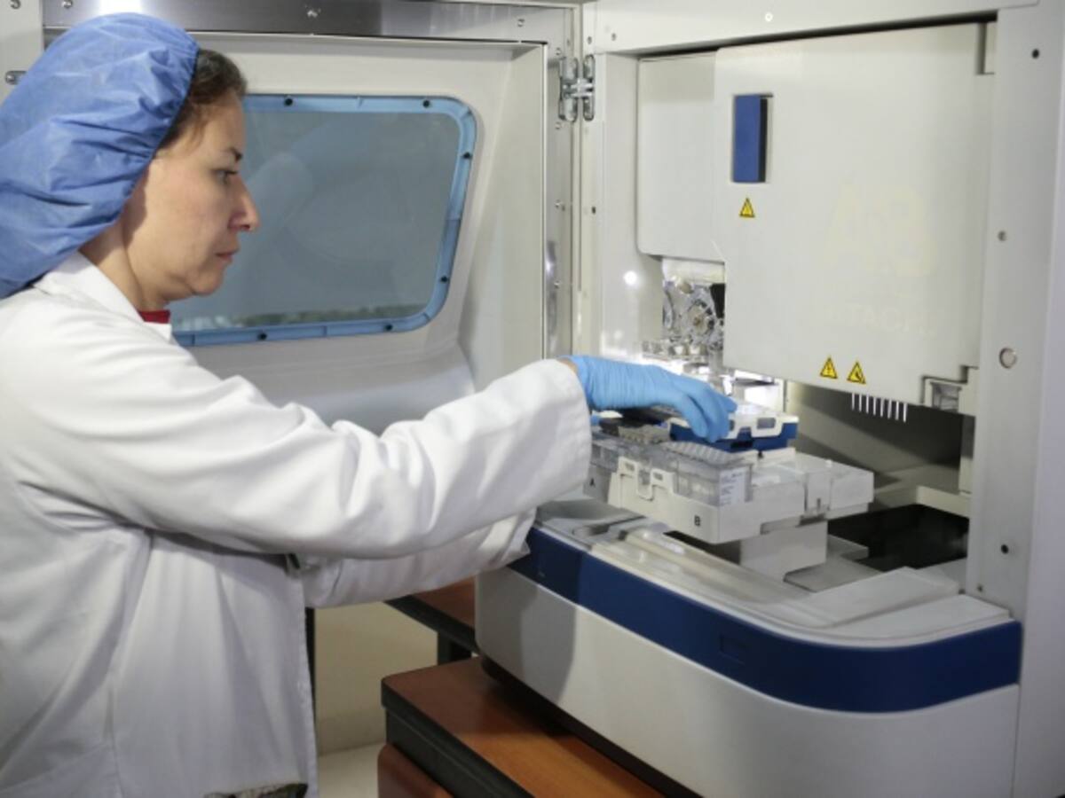 Científicos estadounidenses encuentran las células funcionales que producen la diabetes