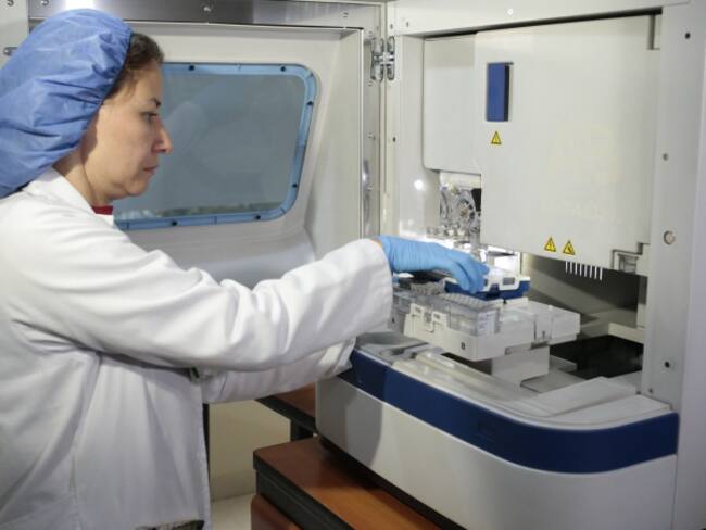 Científicos estadounidenses encuentran las células funcionales que producen la diabetes