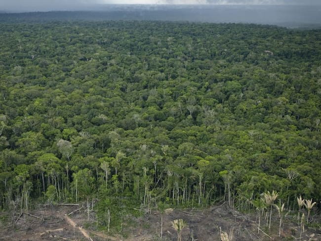 Firman nuevo pacto para áreas protegidas y resguardos en la Amazonía