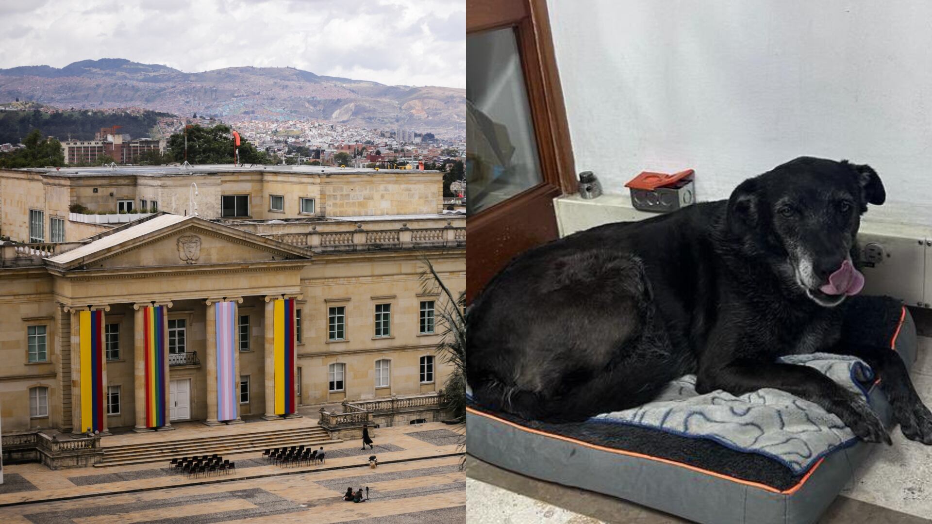 Casa de Nariño y La Negra - Comlprensa y Twitter