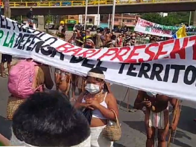 Comunidas indígenas Motilón Barí marcharon en Cúcuta