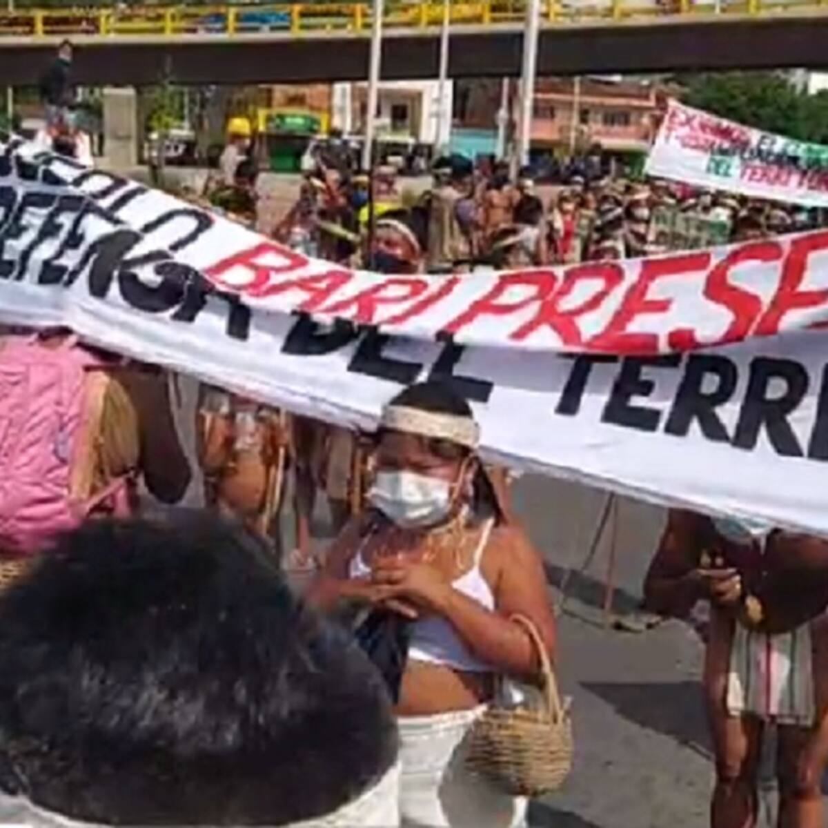 ¡Ola de secuestros en Norte de Santander! Las víctimas serían menores indígenas Motilón Barí