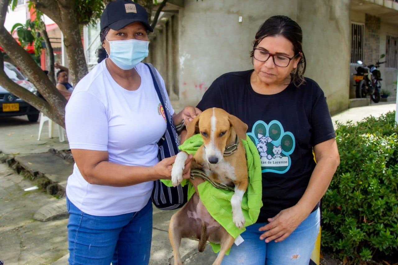 Alcaldía de Cartagena