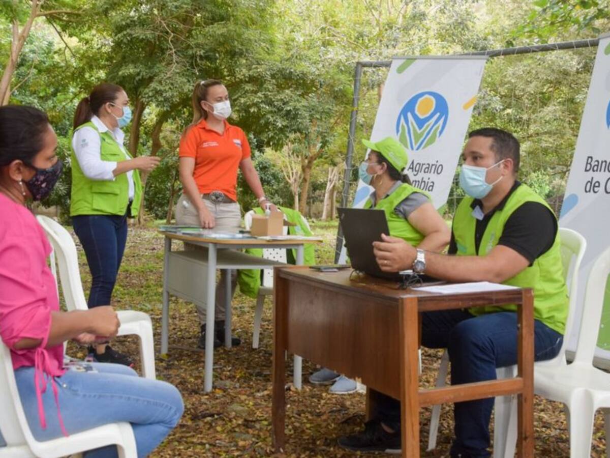 Así va el avance de reactivación económica en la Sierra Nevada