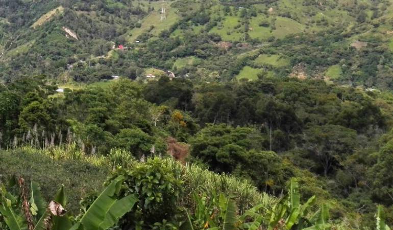 En Caño Indio zona de concentración en el acuerdo de paz