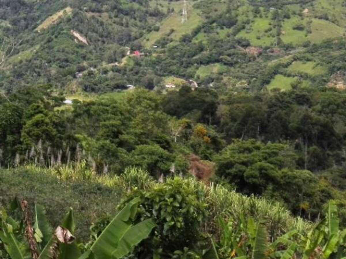 JEP reclama protección para excombatientes farc