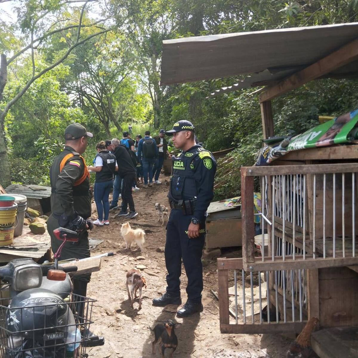 Dueño de criadero ilegal de perros tendrá que pagar una multa de $188 millones