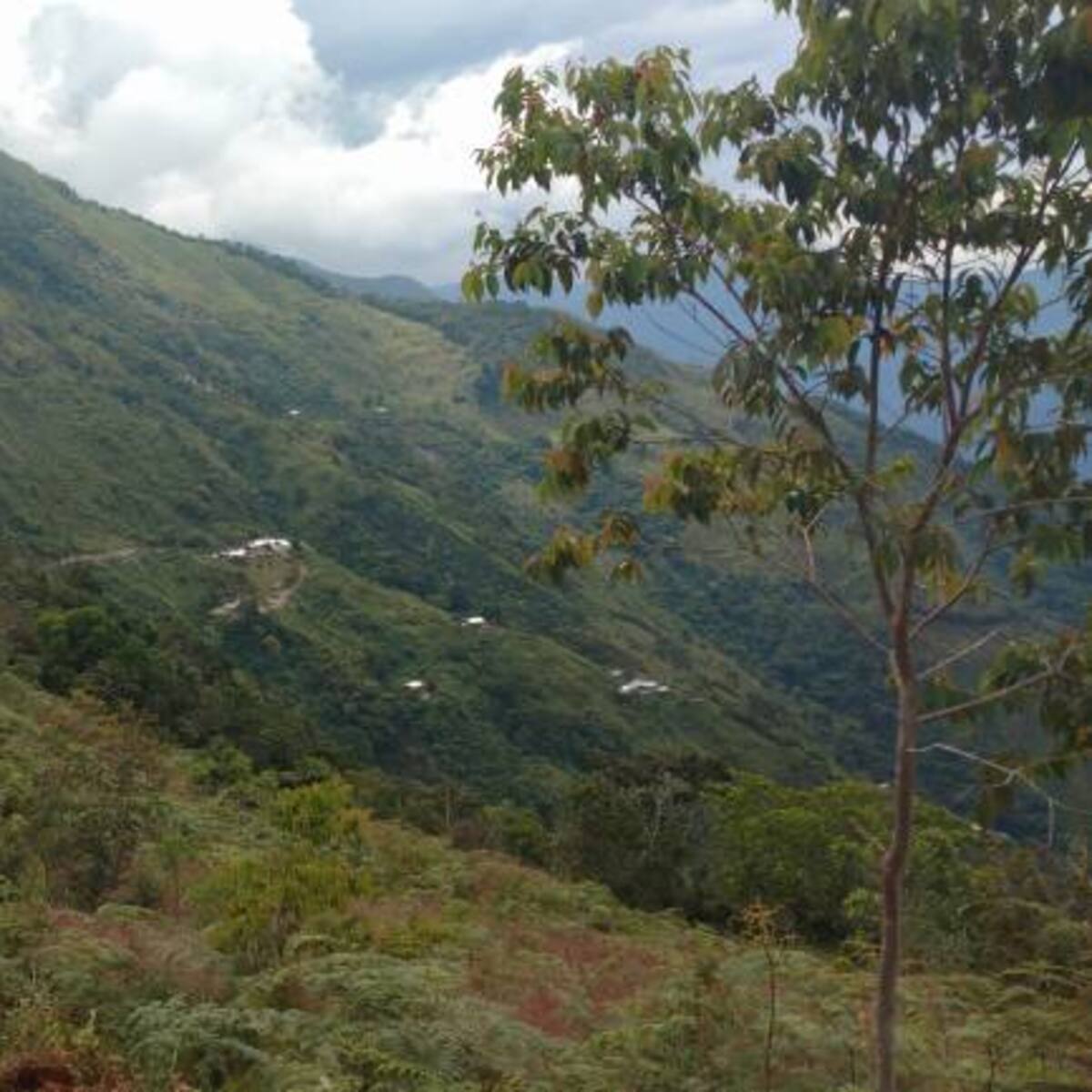 En vereda Pueblo Nuevo de Briceño se reportan Combates con lanzamiento de explosivos