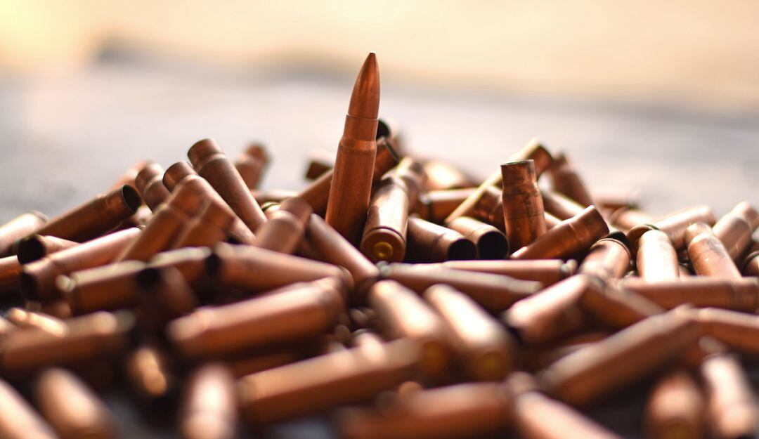 Imagen de referencia.