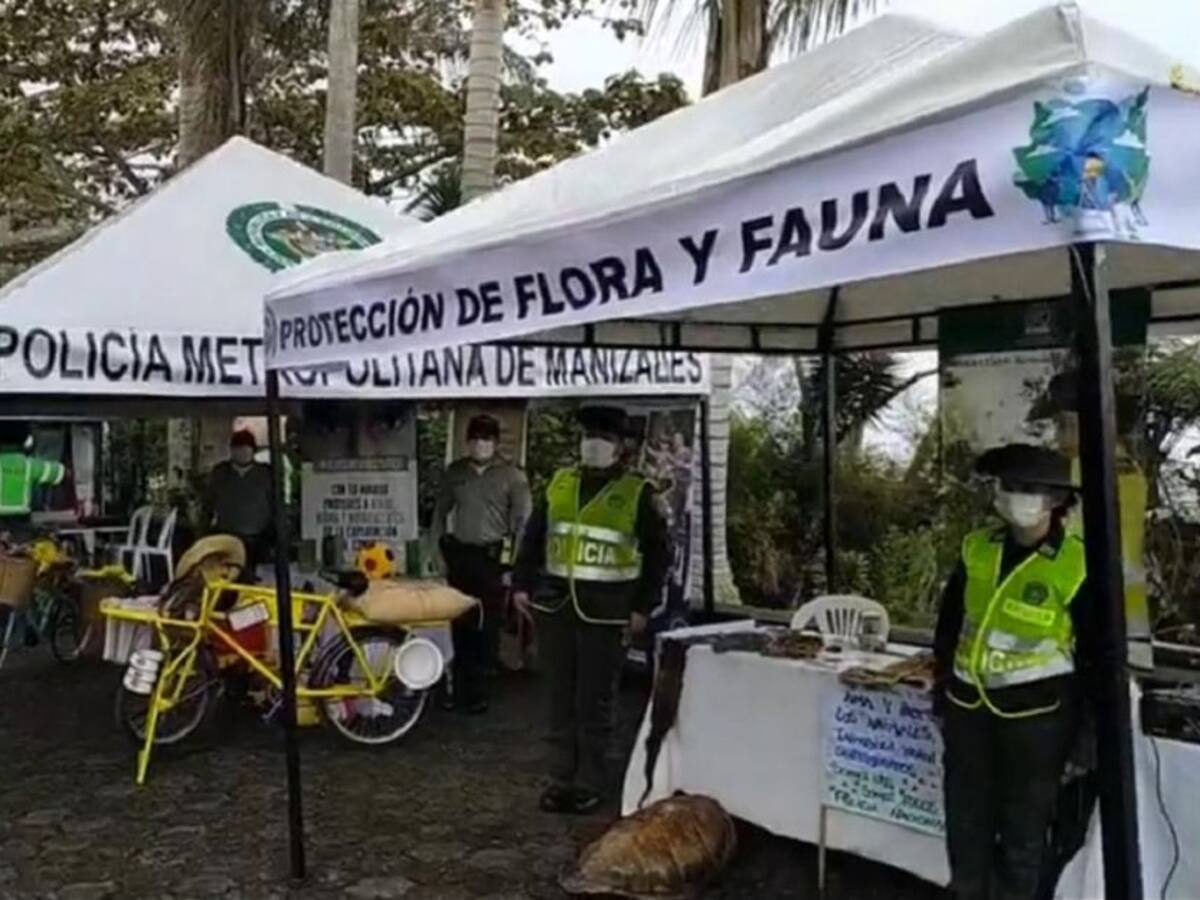 Vigilancia las 24 horas en las calles tendrá la Policía Metropolitana