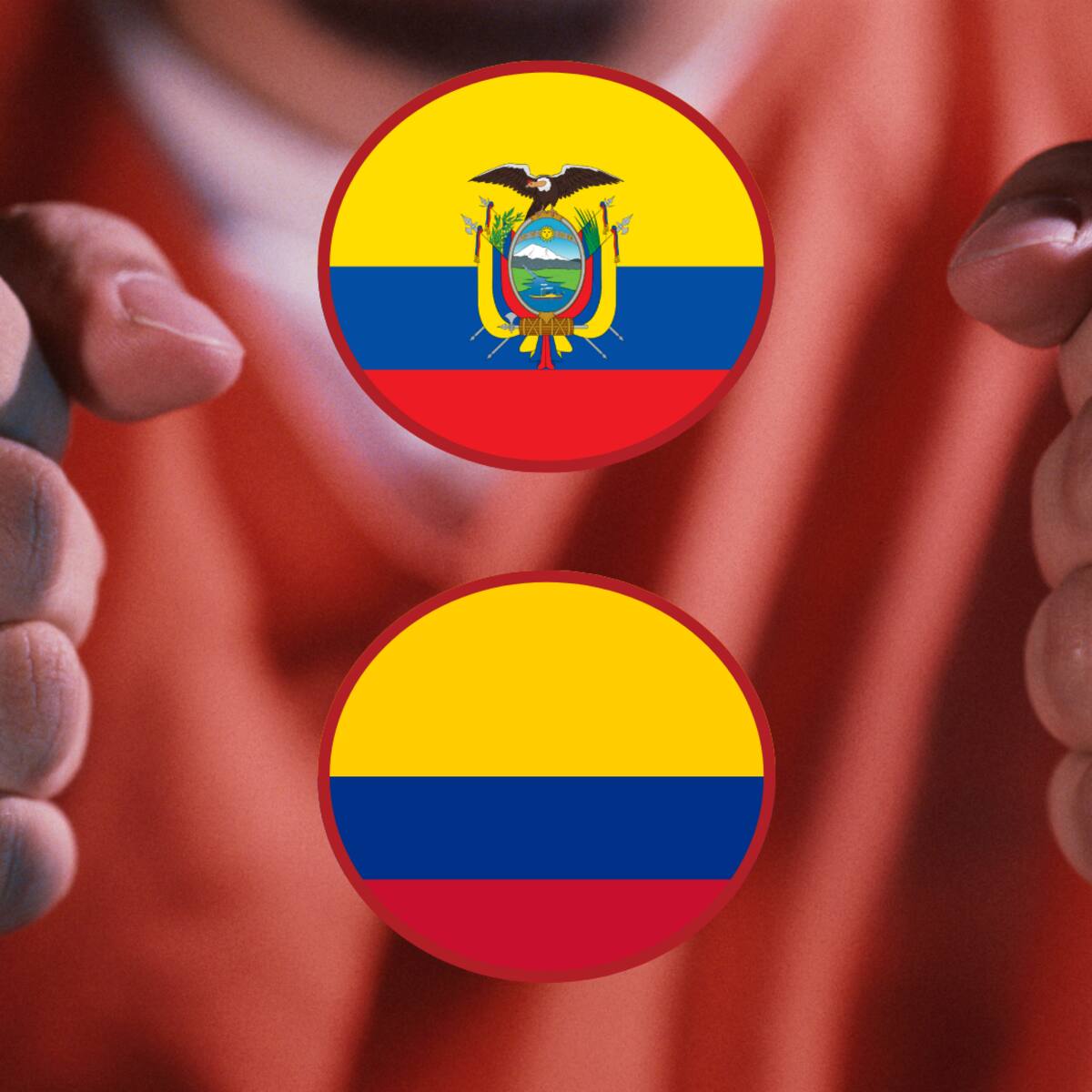 Operación de seguridad simultánea en Ecuador y Colombia deja 16 capturados