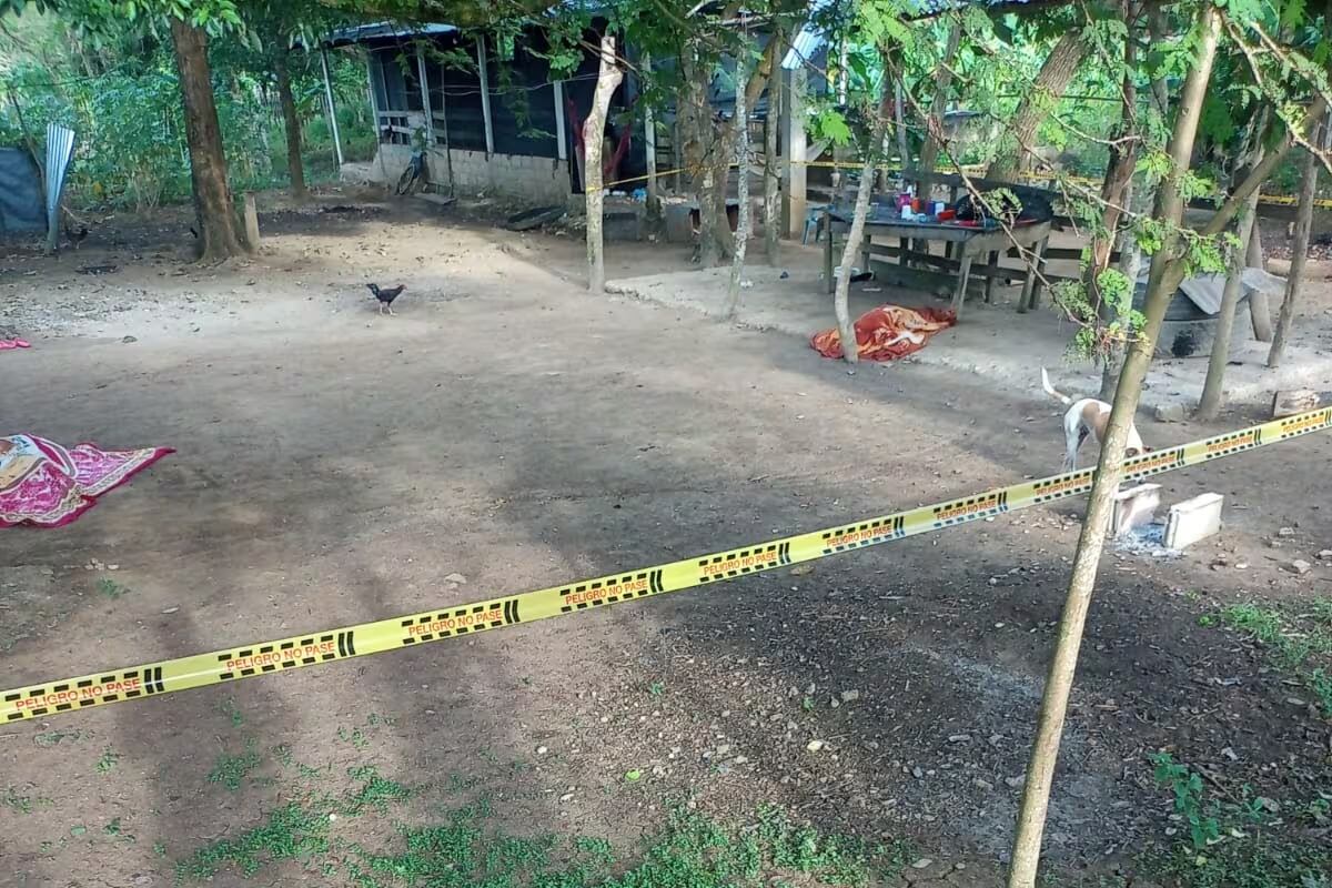 Colprensa- cortesía