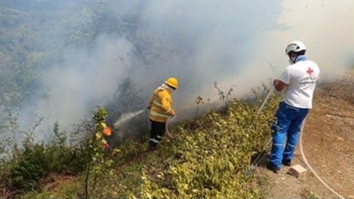 Incendios forestales en Cundinamarca: Bomberos atienden las emergencias