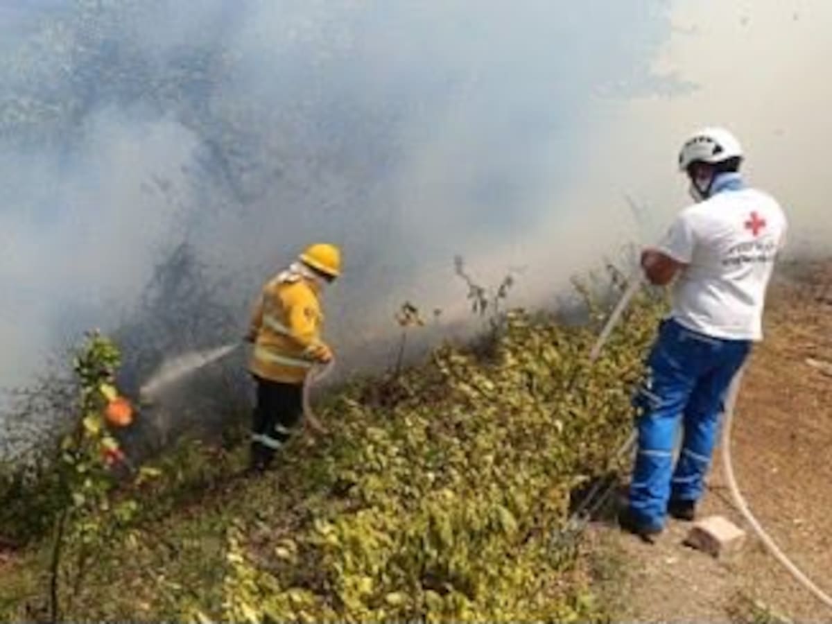 Incendios forestales en Cundinamarca: Bomberos atienden las emergencias