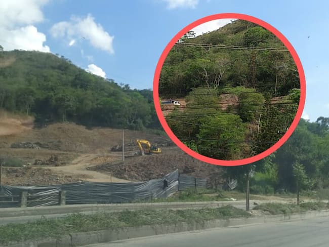 Denuncian tala masiva de árboles en la vía Chimitá
