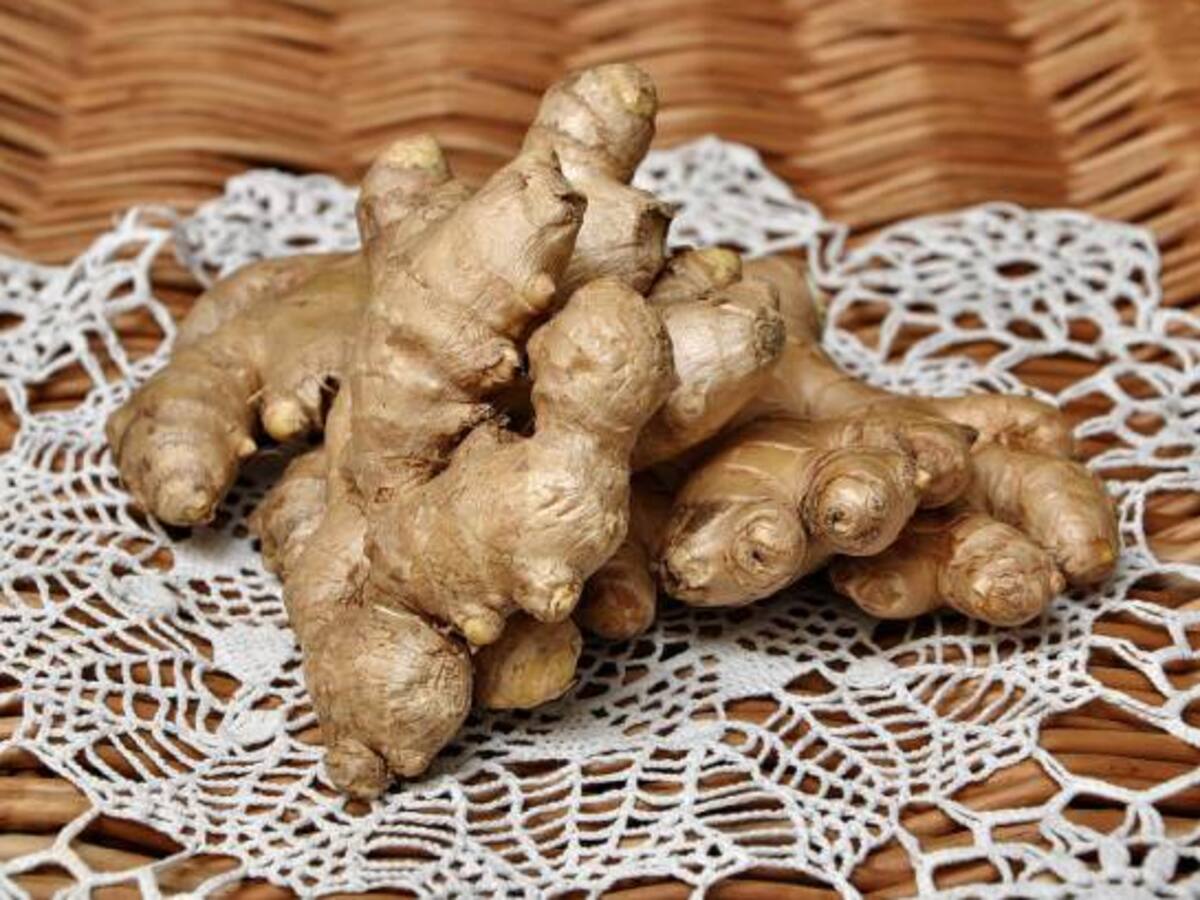 ¿Cómo saber si el jengibre está fresco? Paso a paso para conservarlo en casa