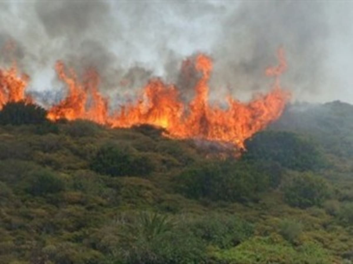 Ola de Calor preocupa al Alcalde de La Virginia, Risaralda