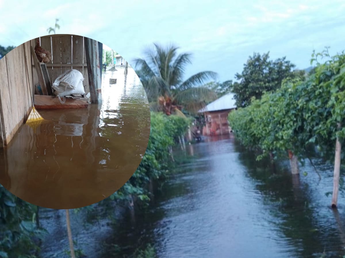 Lluvias: Belén de Bajirá reporta graves daños en casas y en miles de hectáreas de cultivos