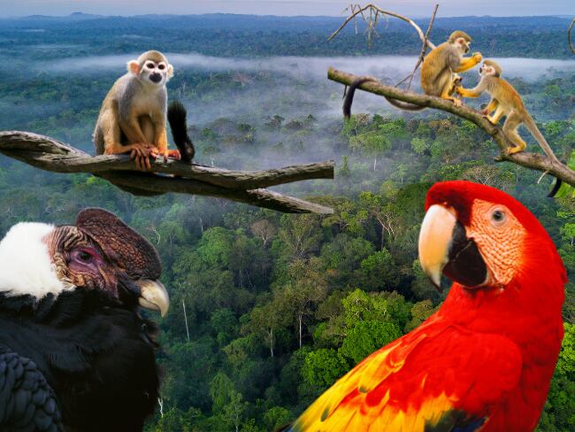 Imagen de referencia vía Getty Images