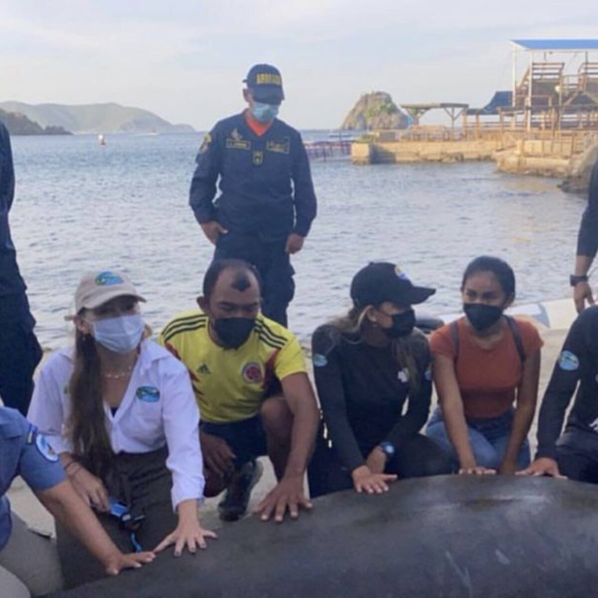 Julieta, manatí rescatada, regresó a las aguas del Caribe Colombiano