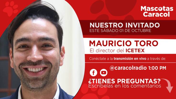 Mascotas Caracol 01 octubre