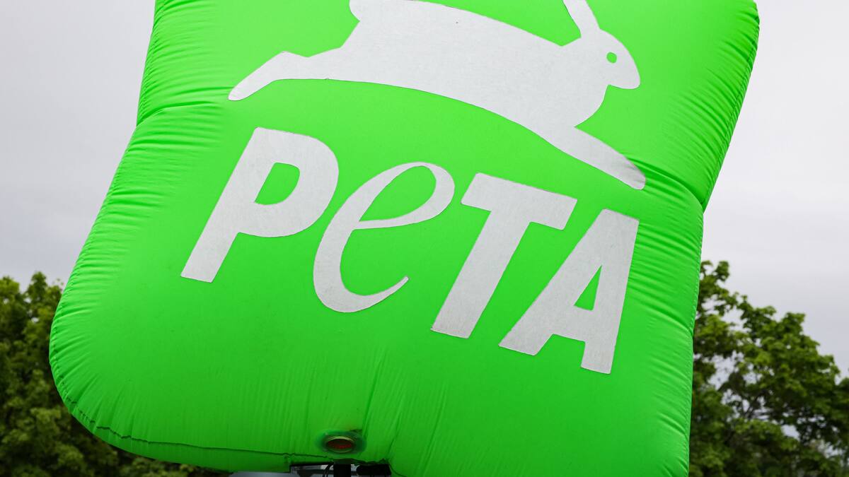 Caso Nancy González: PETA pide frenar la comercialización con pieles de animales