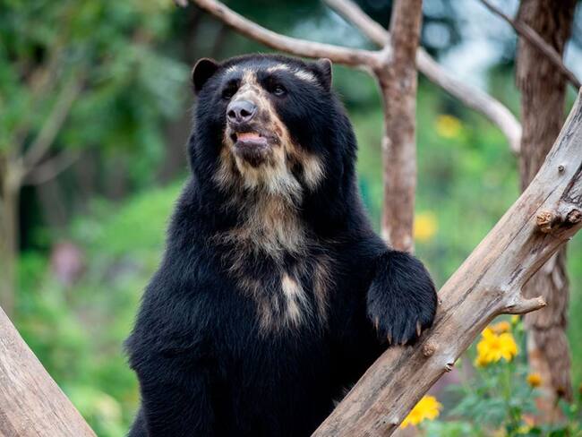 Conservar y restaurar nuestros ecosistemas