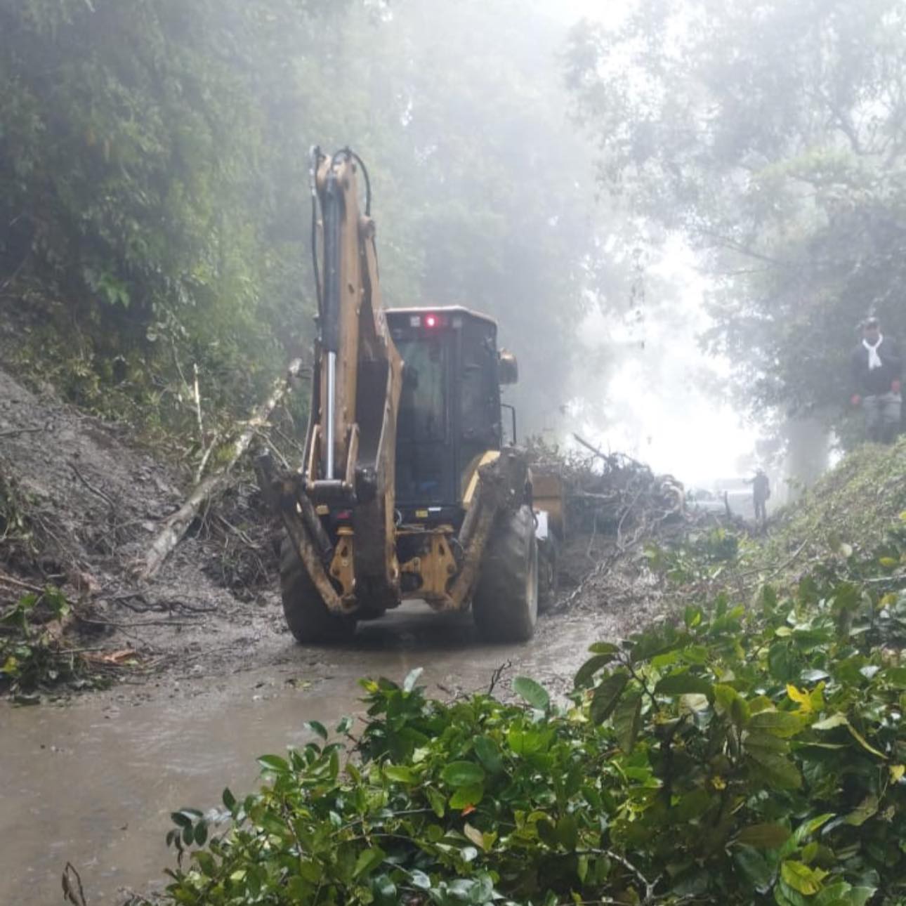 El alcalde Carlos Alberto Castellanos Gómez advierte riesgo de incomunicación y pide apoyo urgente para el reasentamiento de más de 50 familias afectadas por la ola invernal.