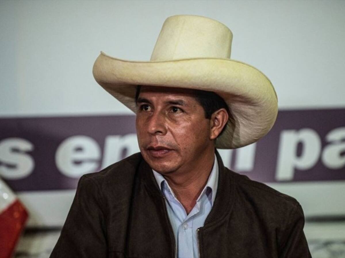 Castillo quiere una Constitución para Perú con sentido social: Julián Palacín