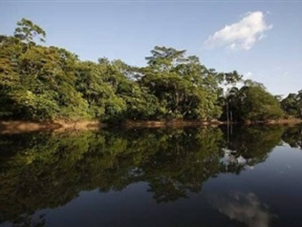 "El ojo de la Amazonía" se posa sobre Londres para mostrar su tesoro: Yasuní
