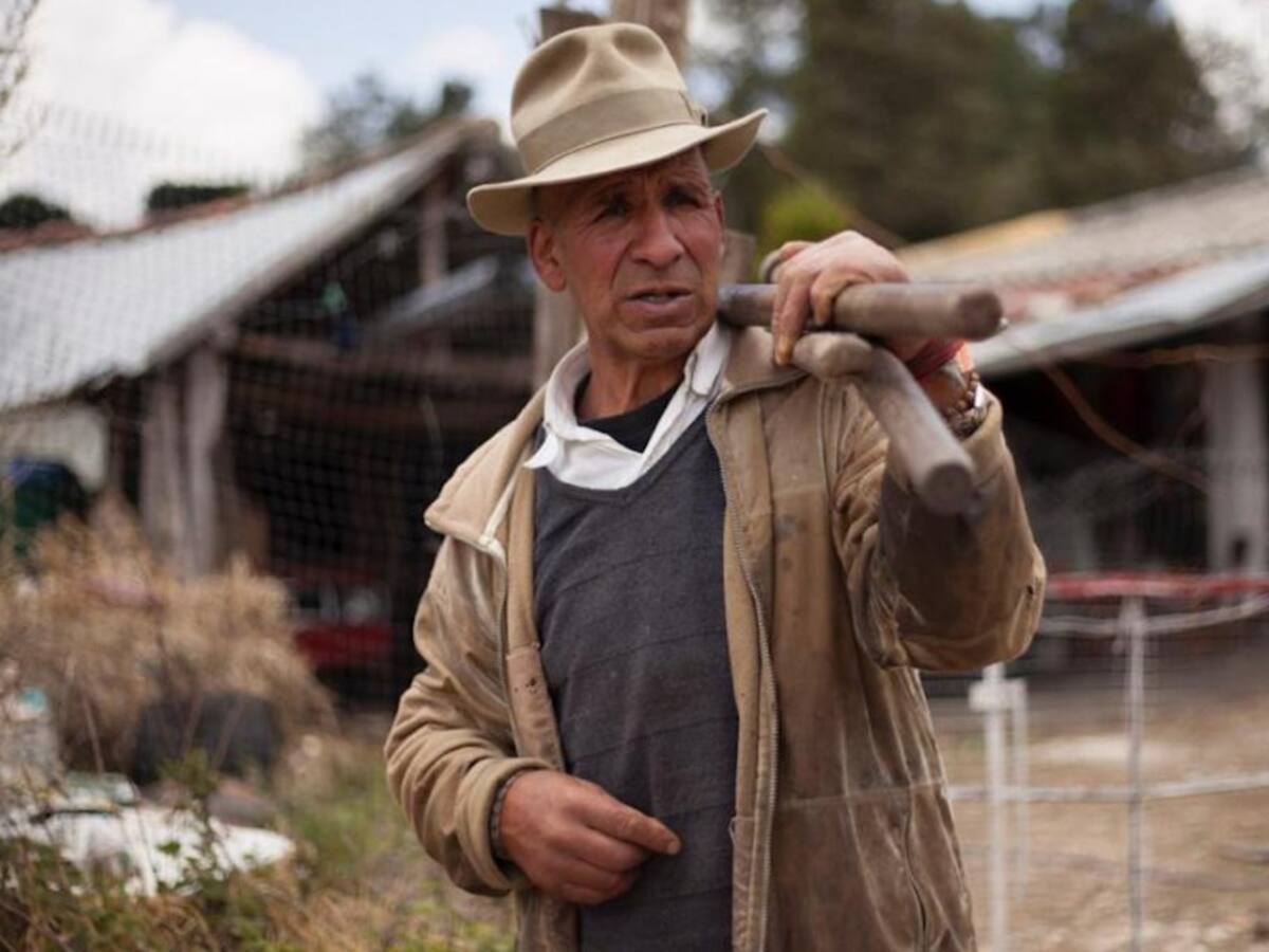 "Sumercé" una visión del orgullo agrodescendiente