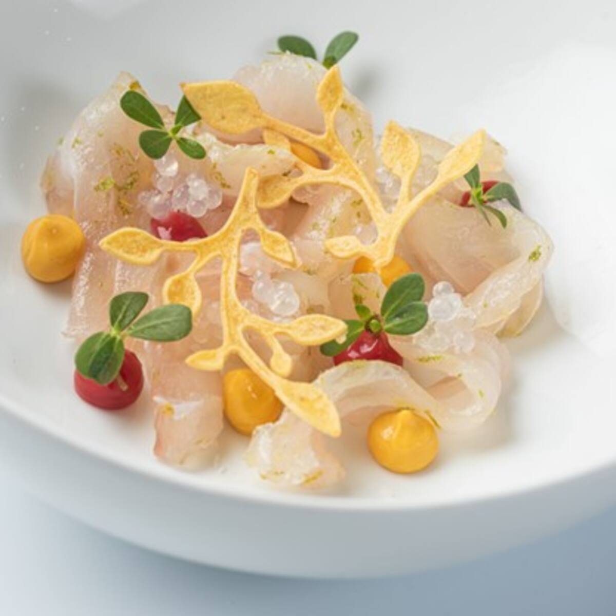 Premiado restaurante 1621 de Cartagena continúa sorprendiendo en 2024