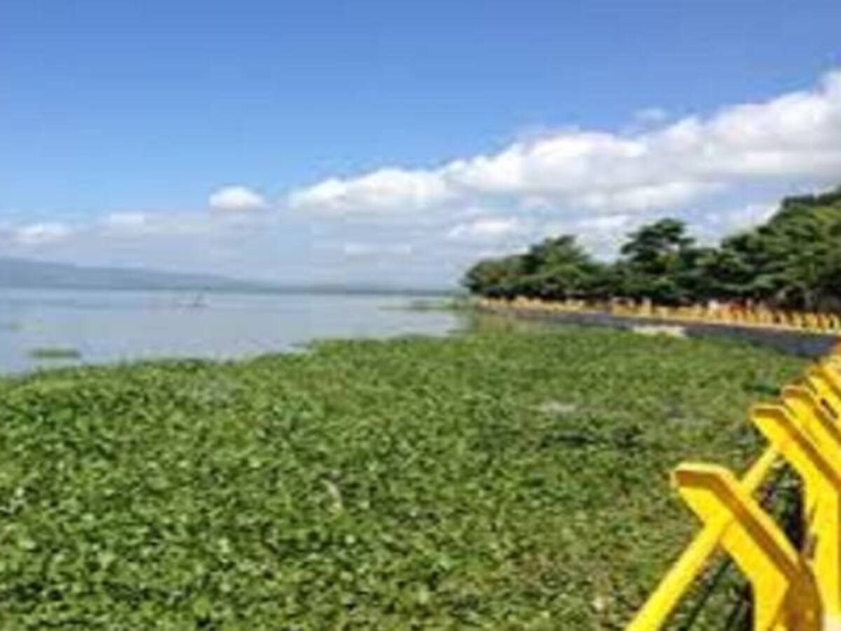 Alerta en el Atlántico por bajos nivel del Río Magdalena