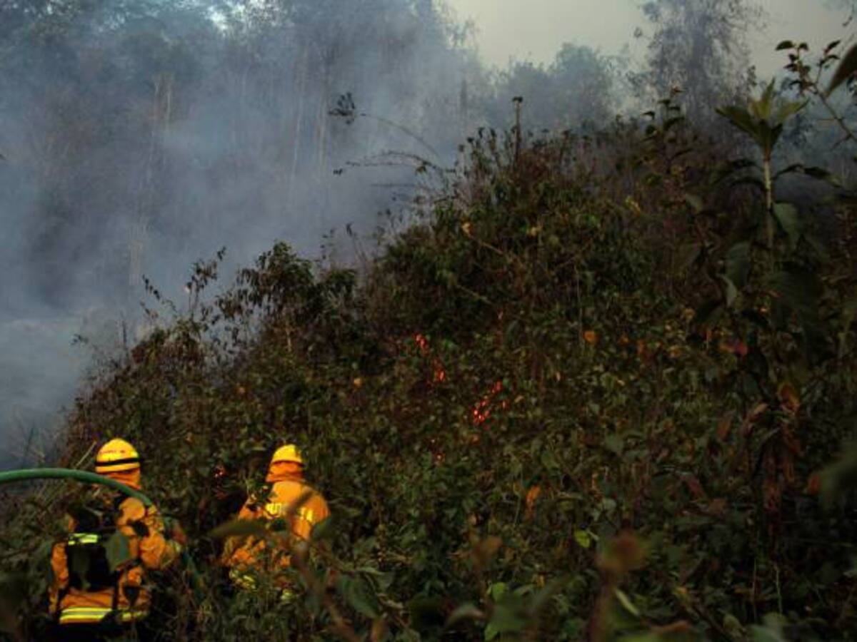 24 municipios del Tolima se mantienen activos incendios forestales