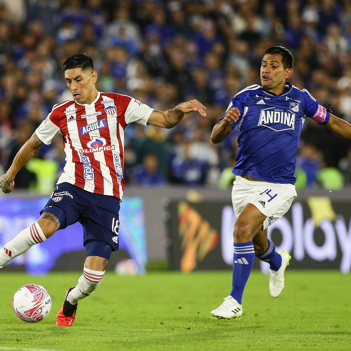 Junior de Barranquilla Vs. Millonarios: nóminas confirmadas para la Superliga 2024