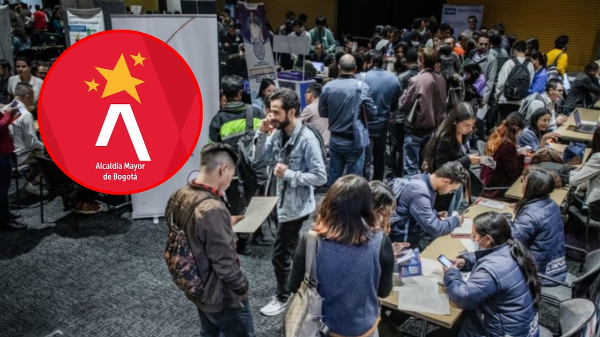 Convocatoria con 100 vacantes de empleo en Bogotá: estos son los perfiles y así puede aplicar