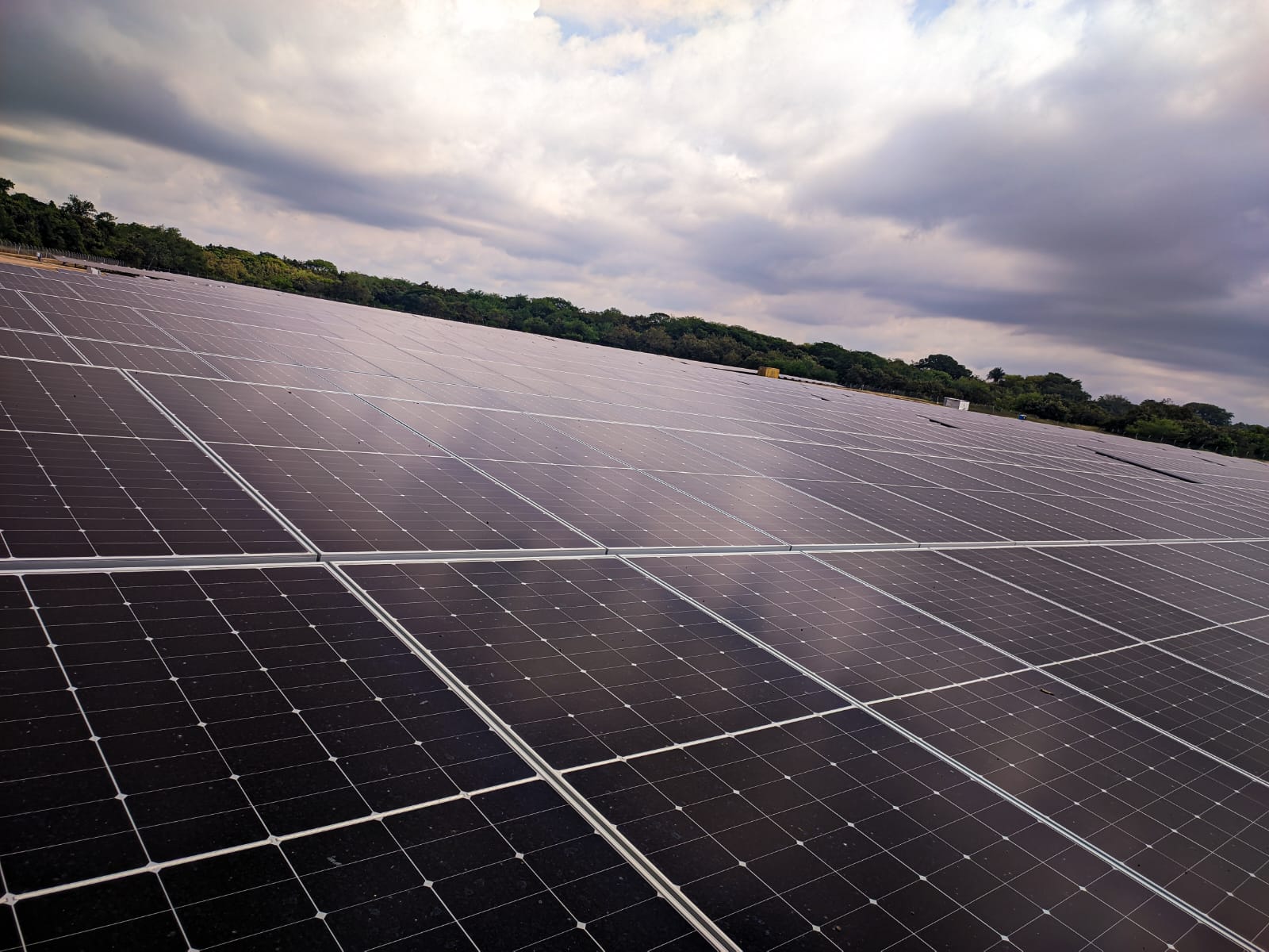 La planta de energía solar está ubicada en el municipio del Guamo, Tolima