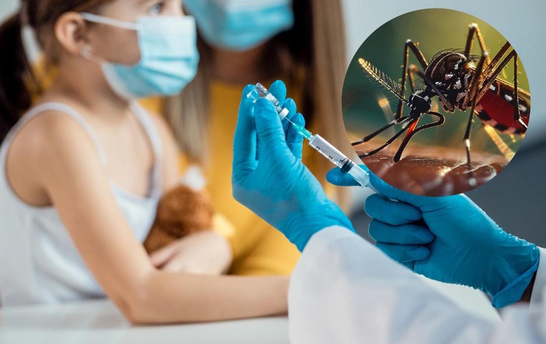 La vacuna contra el dengue está disponible de manera gratuita para niños de 9 años en Neiva, Palermo y Rivera.