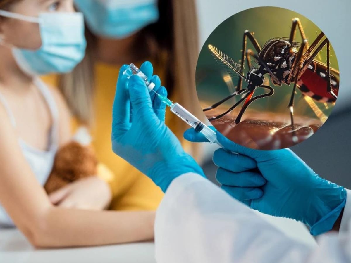 Baja vacunación contra dengue preocupa en Neiva, Palermo y Rivera, en Huila