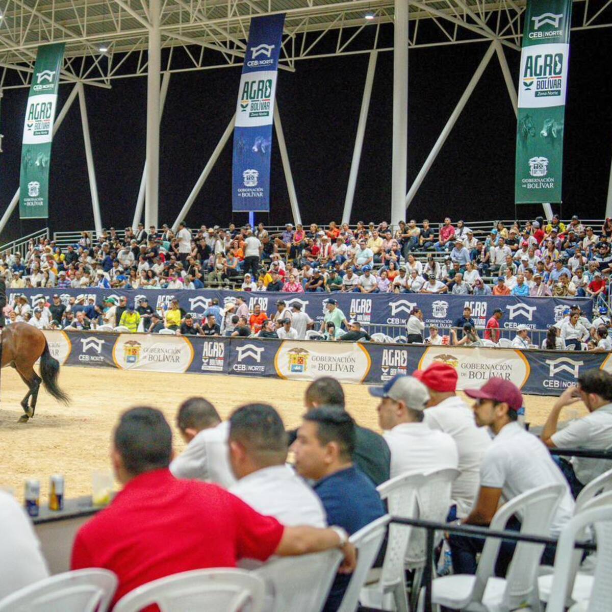 Bolívar: sede de la Exposición Nacional Equina 2027