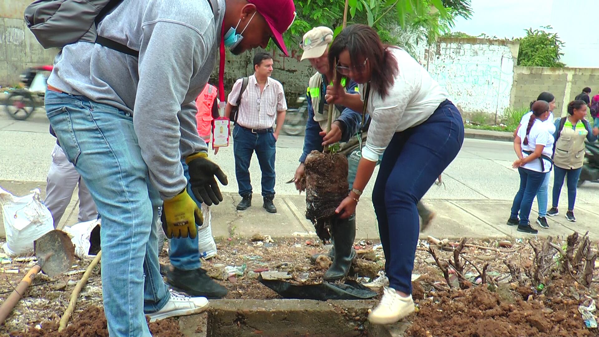 Universidad de Cartagena