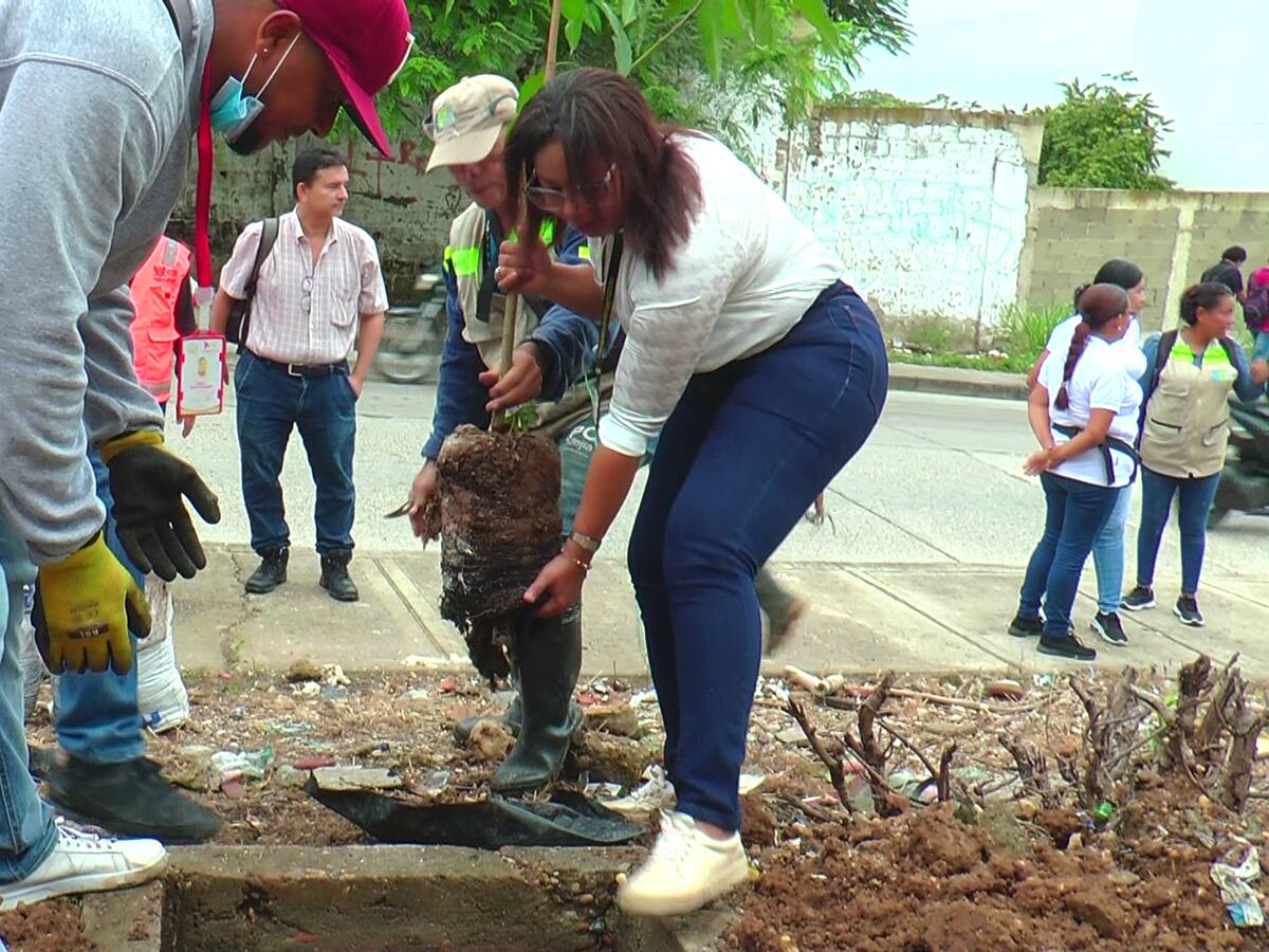 Jornada de limpieza y siembra de árboles en campus Piedra de Bolívar de Unicartagena