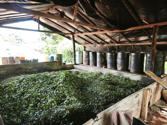 Se destruyen cinco laboratorios pertenecientes al ‘Clan del Golfo’ en el Chocó