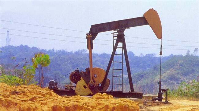 Imagen de referencia. Foto: Colprensa